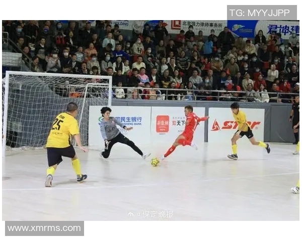 承德足球明星盘点他们的成就与影响力分析